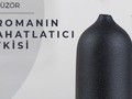 Mitr'in Sessiz Dönüştürücü Gücü