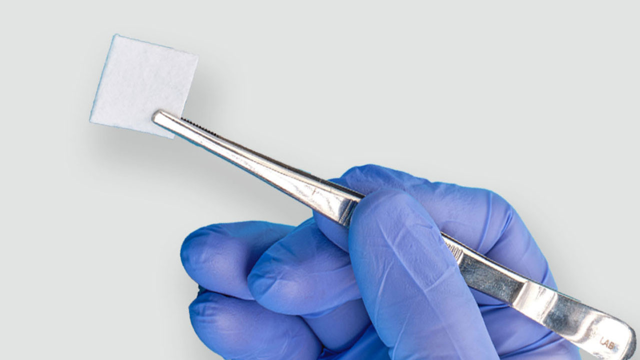 Biyolojik Matrix gerçek oldu!