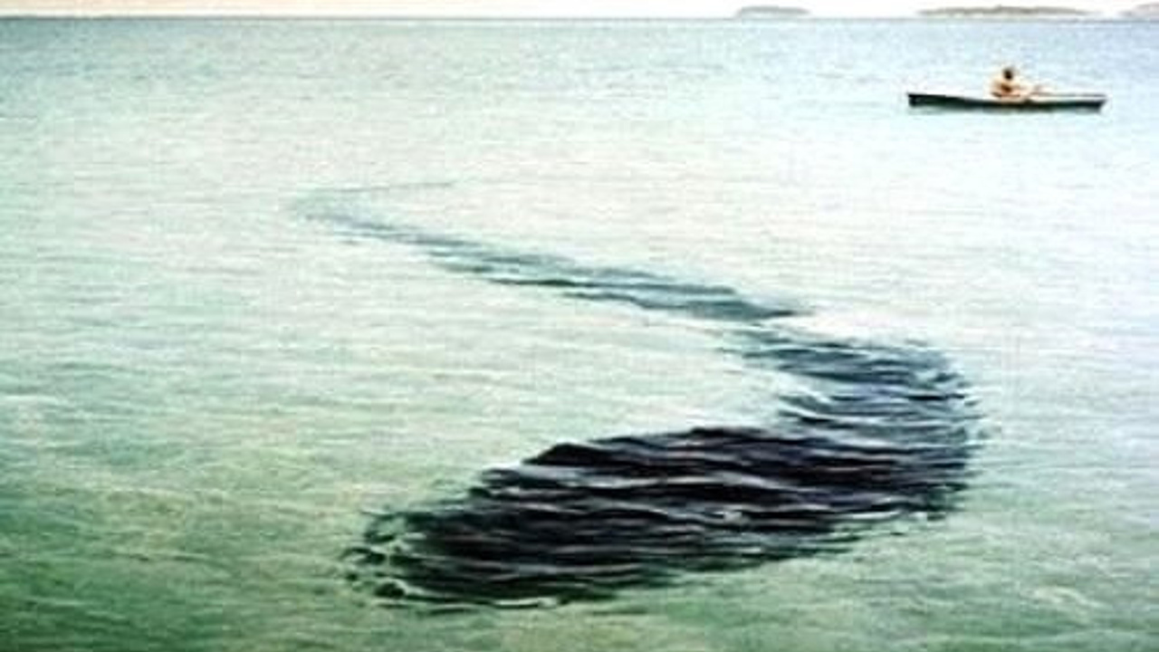 Katta eshakli busty qizlar