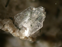 1465965106_tridimit-04.jpg 1465965106_tridimit-04.jpg