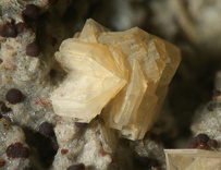 1465965033_tridimit.jpg 1465965033_tridimit.jpg