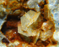 1465965056_tridimit2n.jpg 1465965056_tridimit2n.jpg