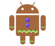 1331863041_android-gingerbread.jpg