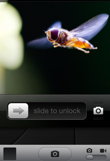 1331207625_ios5.1-image.jpg 1331207625_ios5.1-image.jpg