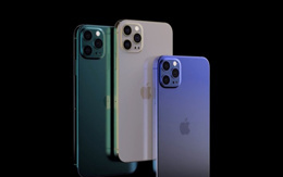 iPhone 12 Türkiye'de 5999TL'den ön siparişe çıktı!