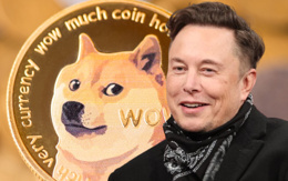 Elon Musk, Dogecoin biriktirdiğini onayladı! Dogecoin ne tepki verdi?