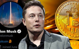 Elon Musk: Bitcoin başaracak, ancak uzun bir kış olabilir!
