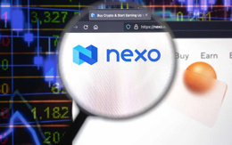 Nexo 24 saatte %8 arttı; İşte NEXO'nun ilk 100 paketin lideri olmasının nedeni!