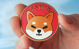 Shiba Inu almak için çok mu geç?