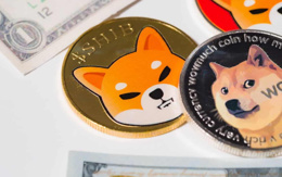 İddia: SHIB, DOGE, XRP kripto paranın en düşük değer biçilen varlıkları