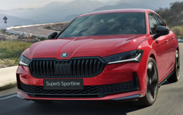 Skoda kullanıcı deneyiminde zirveye oynuyor