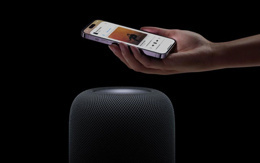Apple Home Hub bu yıl geliyor