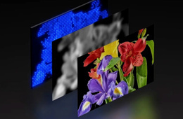 Samsung davayı kazandı: TCL, bazı TV modellerini satıştan kaldıracak