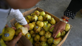 Armut kronik hastalık riskini azaltıyor!