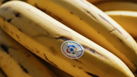 Google, “Nano Banana” entegresi ile yapay zekayı genişletecek!