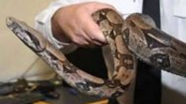 Şaşırtan bilimsel ipuçları-1