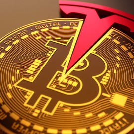 Elon Musk, ne kadar Bitcoin tuttuğunu açıkladı!
