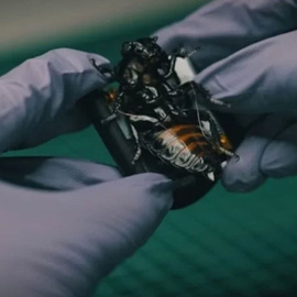 NATO'nun yeni casusları sahaya indi!