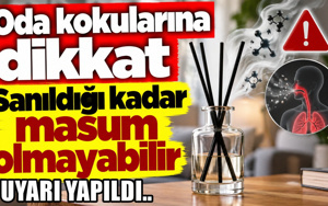 Evi güzel kokutuyor ama dikkat: Oda kokuları havaya bunları yayıyor