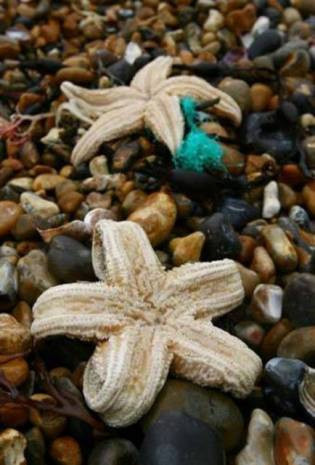 Şaşırtan bilimsel ipuçları-1 - Resim: 14