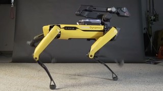 Robot Spot Mini dans ediyor!