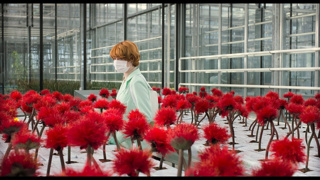 13 Aralık haftası vizyona giren filmler!