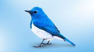 Twitter'da büyük değişiklik! Bunu kimse beklemiyordu!