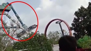 Eğlence için pisi pisine öldüler! Yüreği olan bu görüntüleri izlemesin