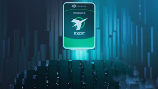 Seagate'ten 24GB'lık IronWolf Pro!