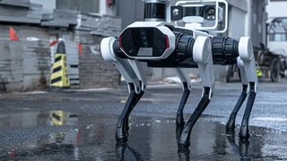 Şimdiye kadar geliştirilmiş en akıllı robot köpek tanıtıldı; tam bir dost canlısı