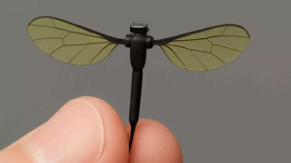 Gözle görülemeyecek kadar küçük: Çin'den sivrisinek dronelar
