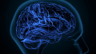 İnsan beynindeki hücrelerde Hepatit C virüsü bulundu