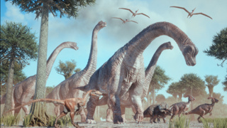 Dinazorlar hakkında şaşırtıcı keşif!