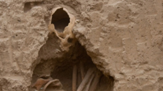 4.000 yıllık insan kafatası bulundu: “Olağanüstü bir keşif”