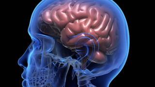 Online beyin egzersizleri yaşlılarda hafızayı 10 Yıl gençleştirebilir