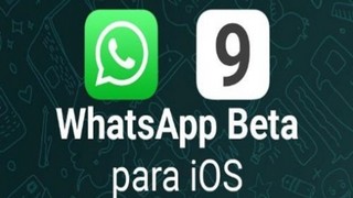 iOS9 ile birlikte Whatsapp’a hangi özellikler geldi?