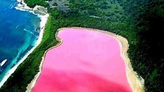 Pembe gölün sırrı çözüldü!