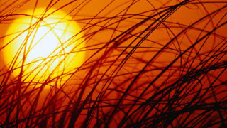 Açık Alanda Kablosuz Ağlara Girerken Tekrar Düşünün !