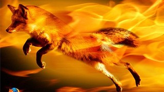 Firefox 22.0 güncellemesi yayınlandı!