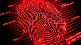 Türk öğrenci oy pusulası ve mühürü tarihe gömecek bir yazılım geliştirdi!