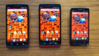 Motorola Xoom, Jelly Bean  testinde!