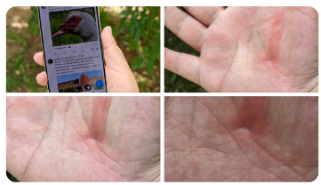 Galaxy S25 Ultra tasarımı sızdırıldı - Resim : 1