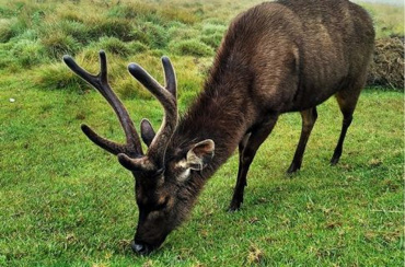 Apple bu iddiayı yalanladı - Resim : 2