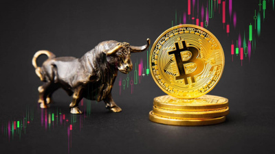 Finans uzmanı: Bir sonraki Bitcoin boğa koşusunu bekleyin!