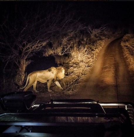 National Geographic 2015'in en iyileri - Resim: 20