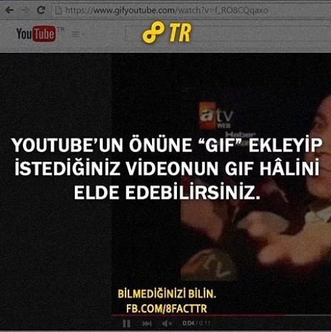 Dünyaca ünlü bilgi paylaşım sitesi 8Fact'in hesabından paylaşılan 28 ufuk açıcı bilgi - Resim: 26