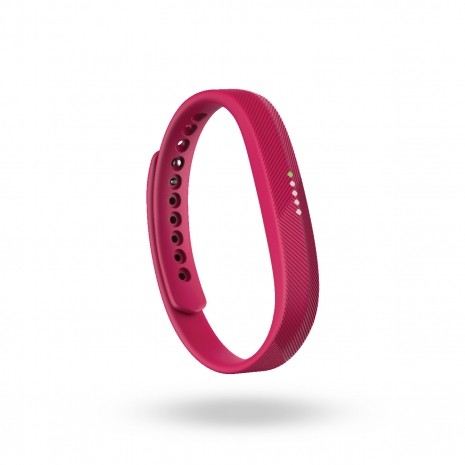 Fitbit Flex 2 ürün galerisi - Resim: 18