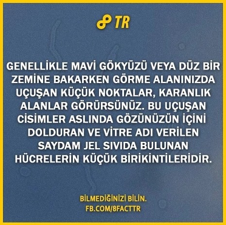 Dünyaca ünlü bilgi paylaşım sitesi 8Fact'in hesabından paylaşılan 28 ufuk açıcı bilgi - Resim: 6