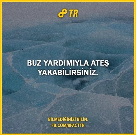 Dünyaca ünlü bilgi paylaşım sitesi 8Fact'in hesabından paylaşılan 28 ufuk açıcı bilgi - Resim: 2