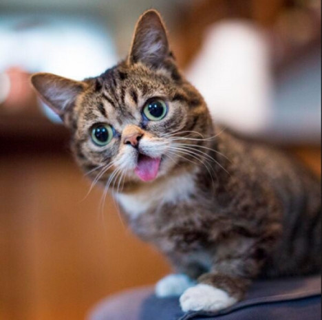 İnstagram'ın en ilgi çekici hesapları - Resim: 7